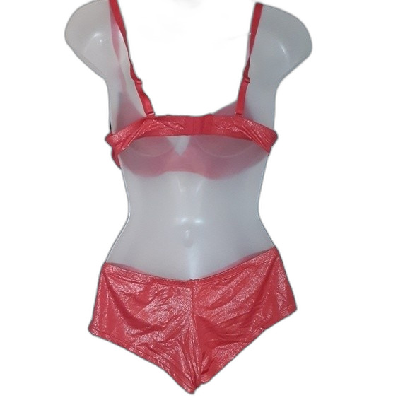 Youmita Red Shimmery 34C Plunge Bra & Medium Hipster NWT - Picture 4 of 8